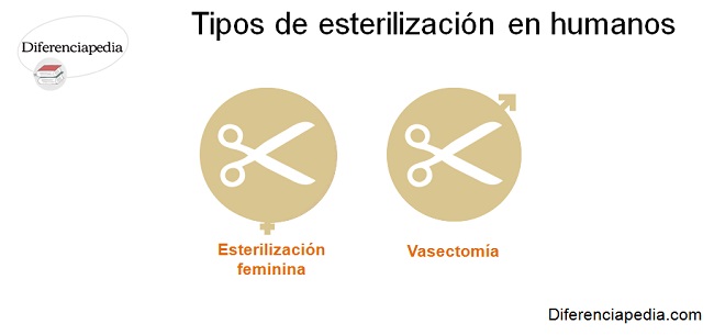 diferentes tipos de esterilizaciones humanas