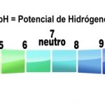 Diferencia entre bases y ácidos