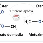 Diferencias entre éster y éter