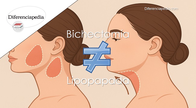 Diferencia entre bichectomía y lipopapada